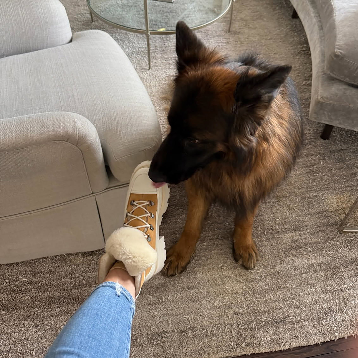 Francy Leather & Faux Fur Hiking Ankle Bootie