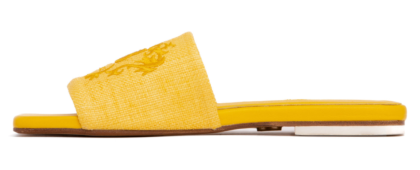 #color_yellow-canvas